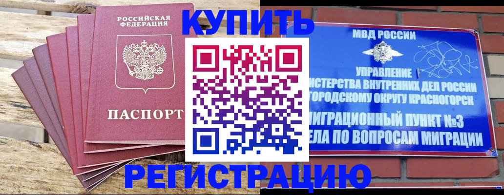 прописка 2025 в Щучье